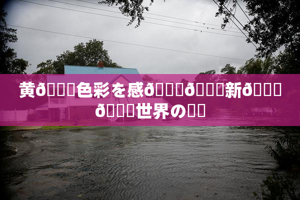 黄🎆色彩を感🍓🌃新👅🍑世界の発見