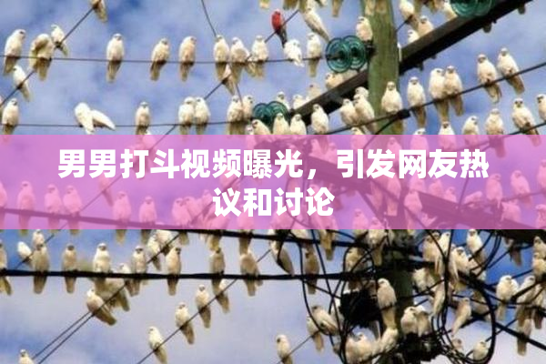 男男打斗视频曝光，引发网友热议和讨论