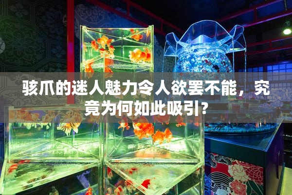 骇爪的迷人魅力令人欲罢不能，究竟为何如此吸引？