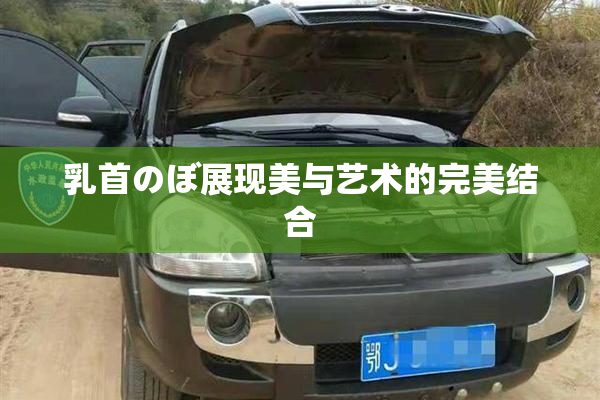 乳首のぼ展现美与艺术的完美结合