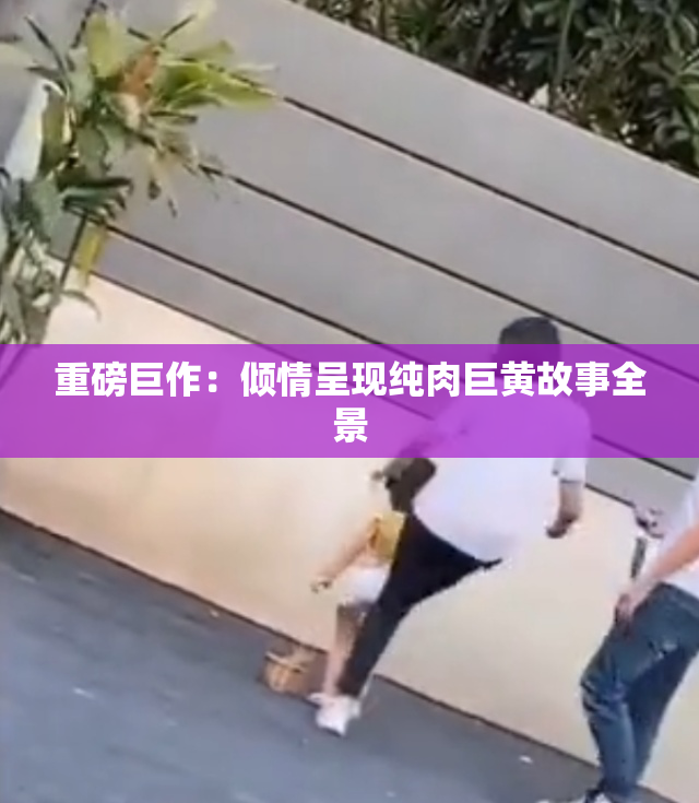 重磅巨作：倾情呈现纯肉巨黄故事全景