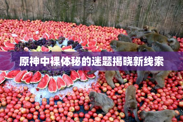 原神中裸体秘的迷题揭晓新线索