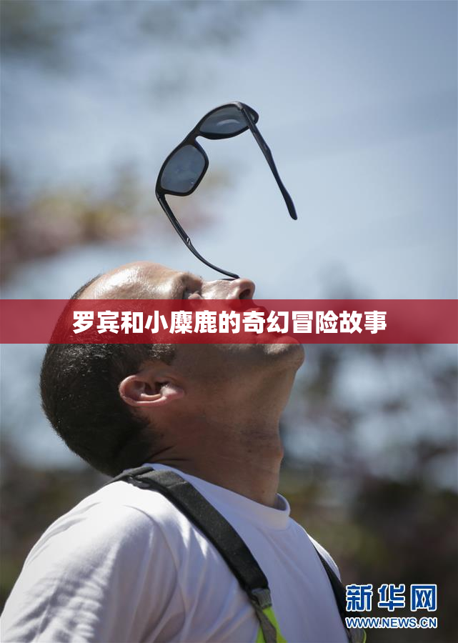 罗宾和小麋鹿的奇幻冒险故事
