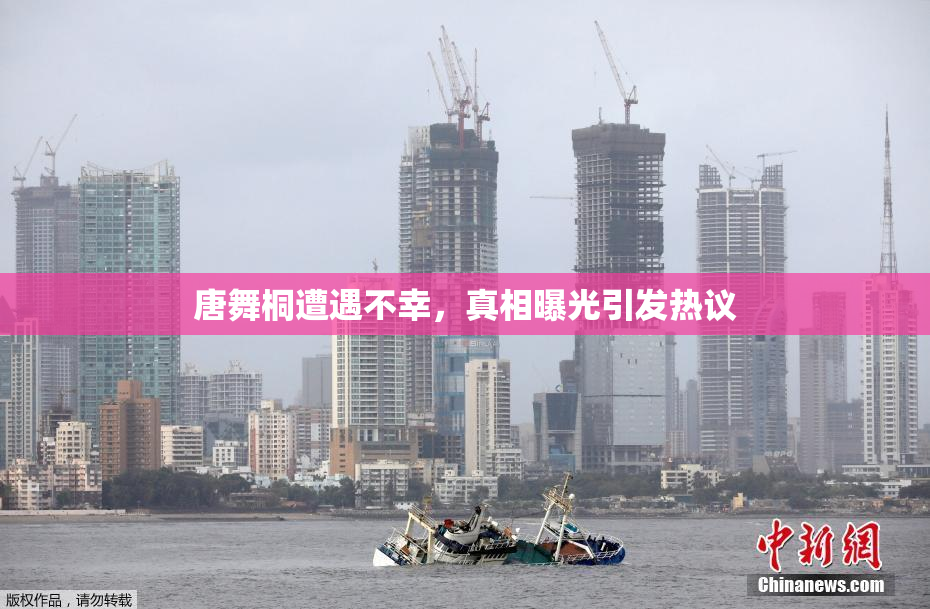 唐舞桐遭遇不幸，真相曝光引发热议