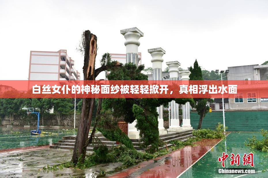 白丝女仆的神秘面纱被轻轻掀开，真相浮出水面