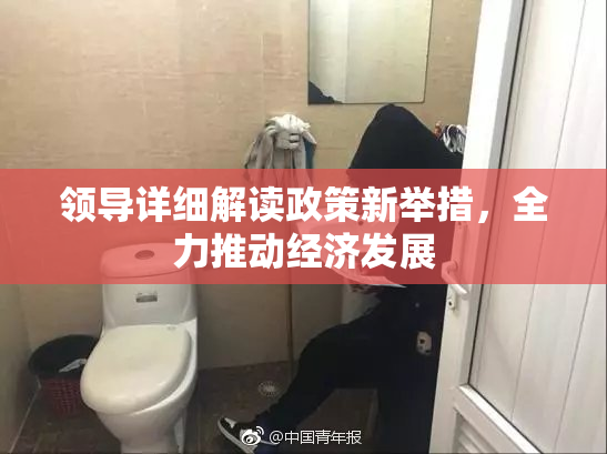 领导详细解读政策新举措，全力推动经济发展