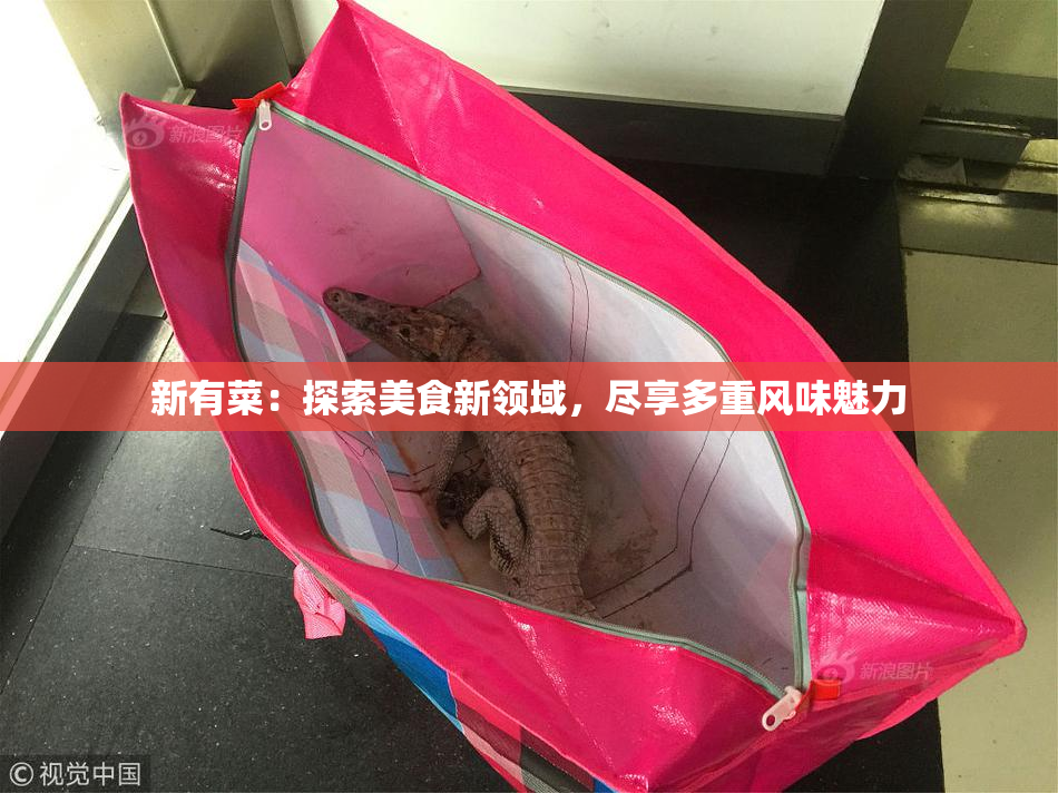 新有菜：探索美食新领域，尽享多重风味魅力