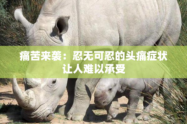 痛苦来袭：忍无可忍的头痛症状让人难以承受