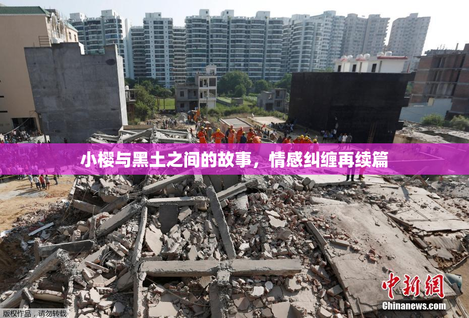小樱与黑土之间的故事，情感纠缠再续篇
