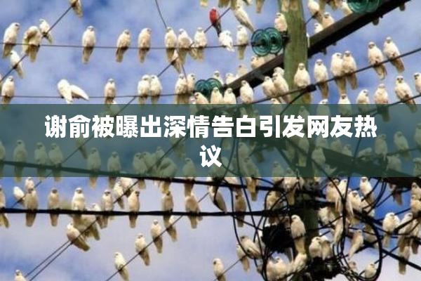 谢俞被曝出深情告白引发网友热议