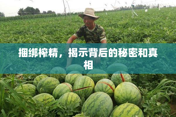 捆绑榨精，揭示背后的秘密和真相