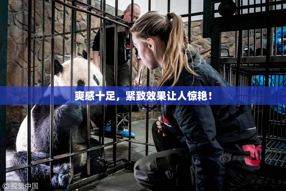 爽感十足，紧致效果让人惊艳！