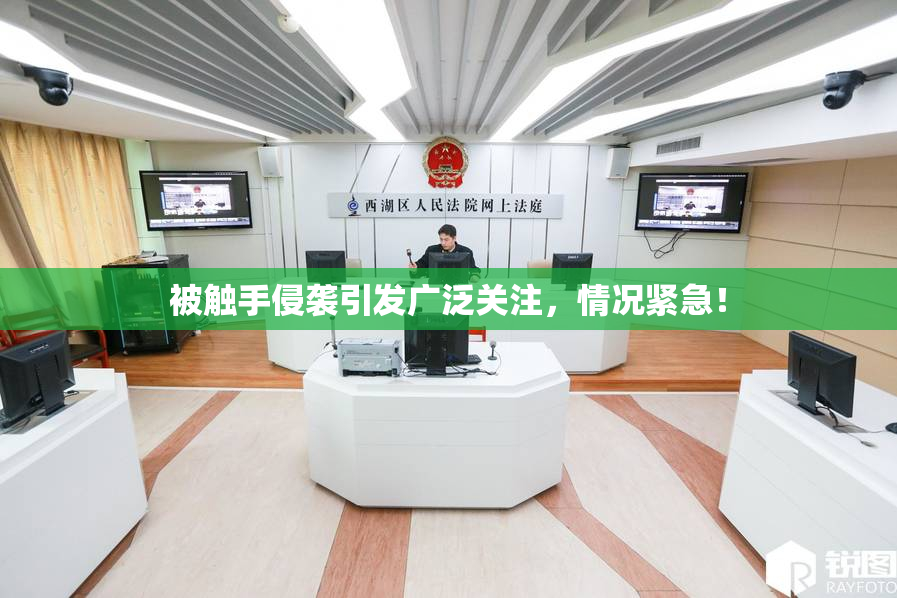 被触手侵袭引发广泛关注，情况紧急！