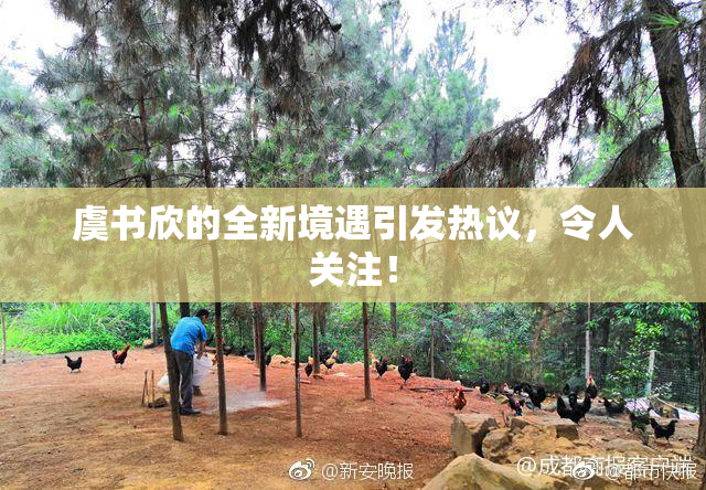 虞书欣的全新境遇引发热议，令人关注！