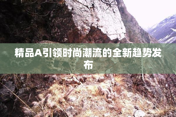 精品A引领时尚潮流的全新趋势发布