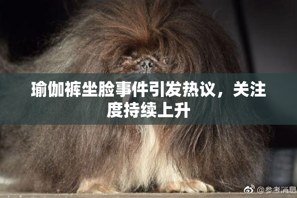 瑜伽裤坐脸事件引发热议，关注度持续上升