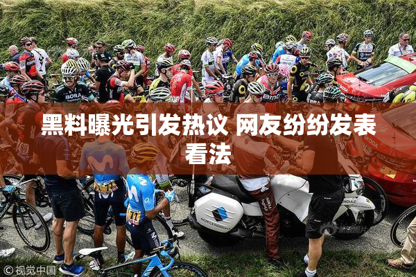 黑料曝光引发热议 网友纷纷发表看法
