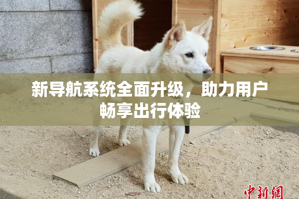 新导航系统全面升级，助力用户畅享出行体验