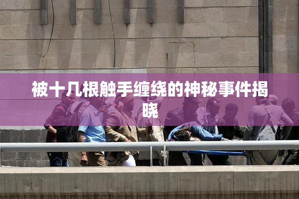 被十几根触手缠绕的神秘事件揭晓
