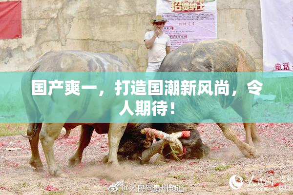 国产爽一，打造国潮新风尚，令人期待！