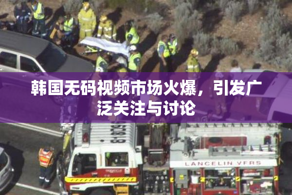 韩国无码视频市场火爆，引发广泛关注与讨论