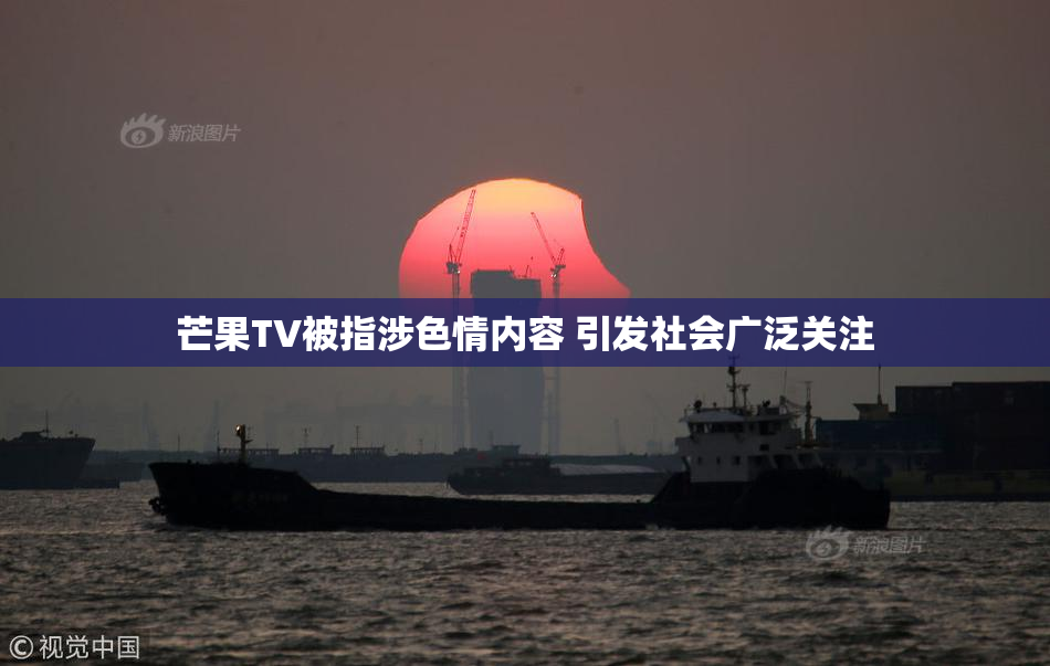 芒果TV被指涉色情内容 引发社会广泛关注