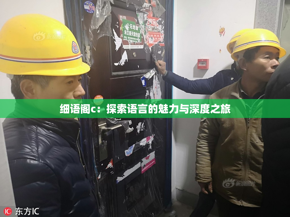 细语阁c：探索语言的魅力与深度之旅