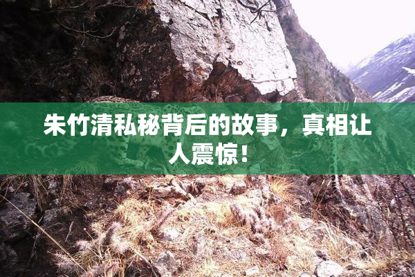 朱竹清私秘背后的故事，真相让人震惊！