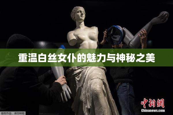 重温白丝女仆的魅力与神秘之美