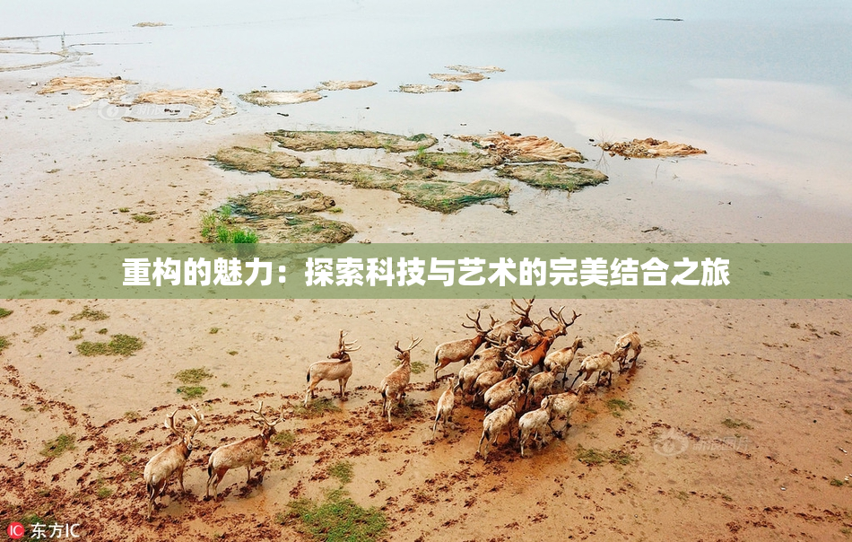 重构的魅力：探索科技与艺术的完美结合之旅