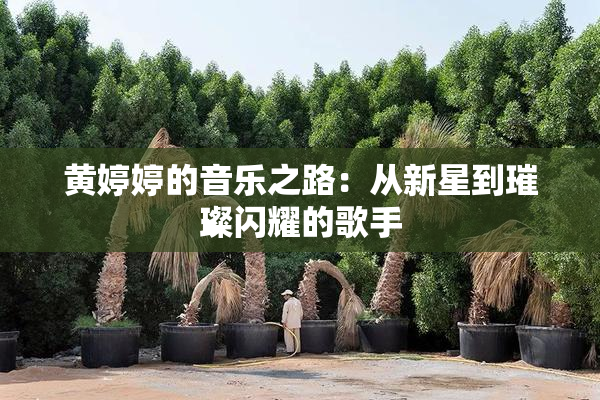 黄婷婷的音乐之路：从新星到璀璨闪耀的歌手
