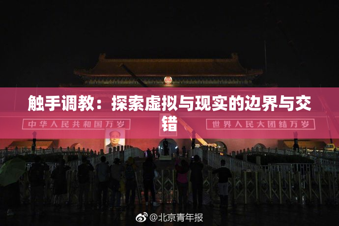 触手调教：探索虚拟与现实的边界与交错