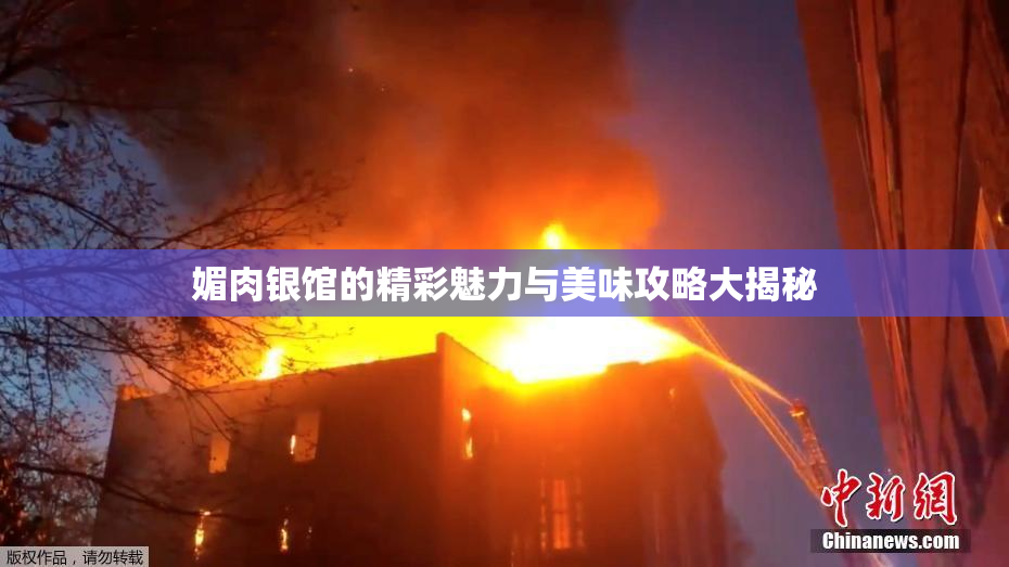 媚肉银馆的精彩魅力与美味攻略大揭秘