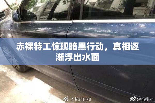 赤裸特工惊现暗黑行动，真相逐渐浮出水面
