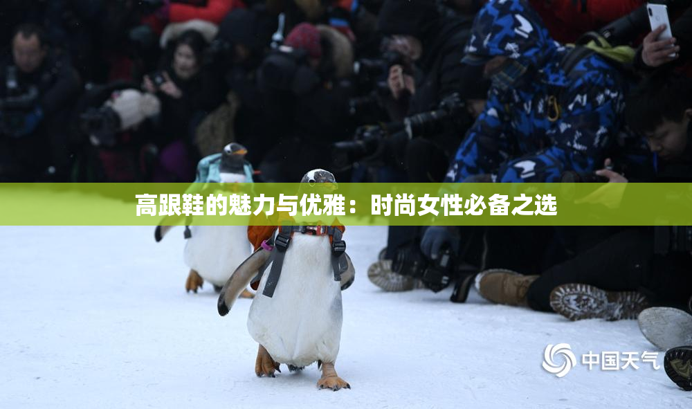 高跟鞋的魅力与优雅：时尚女性必备之选