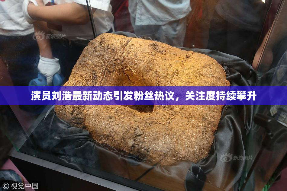 演员刘浩最新动态引发粉丝热议，关注度持续攀升
