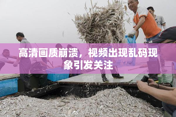 高清画质崩溃，视频出现乱码现象引发关注