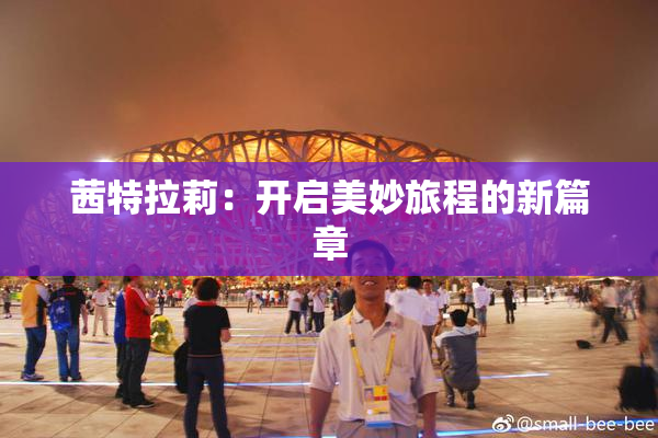 茜特拉莉：开启美妙旅程的新篇章