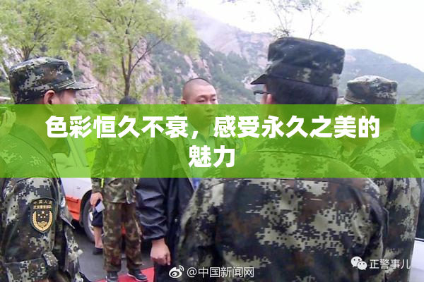 色彩恒久不衰，感受永久之美的魅力