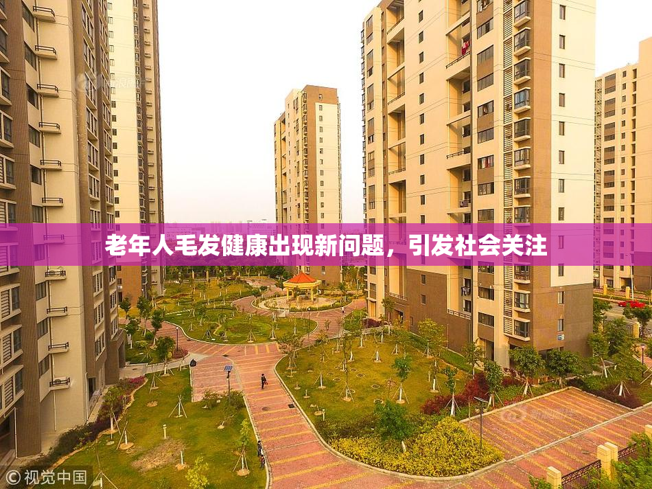 老年人毛发健康出现新问题，引发社会关注