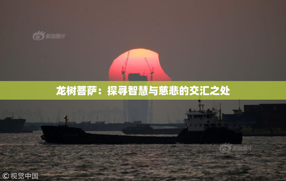 龙树菩萨：探寻智慧与慈悲的交汇之处