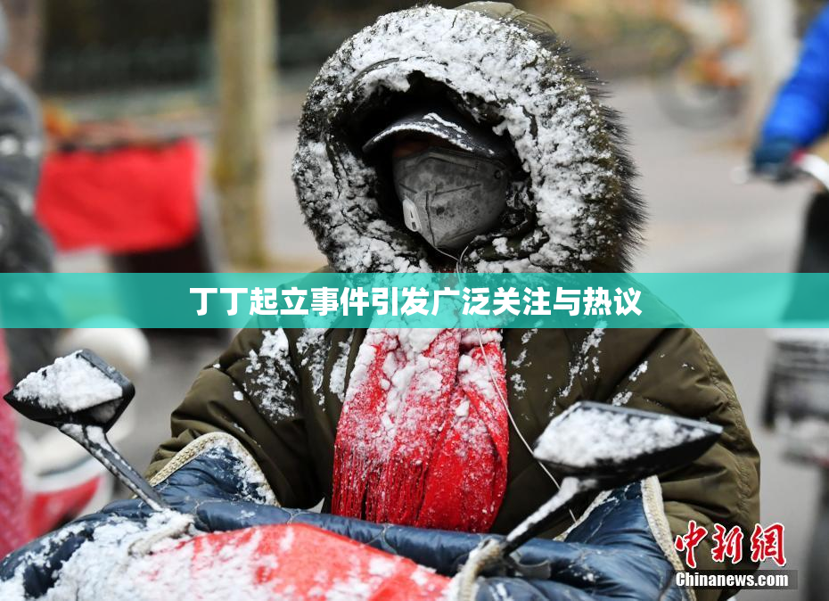 丁丁起立事件引发广泛关注与热议