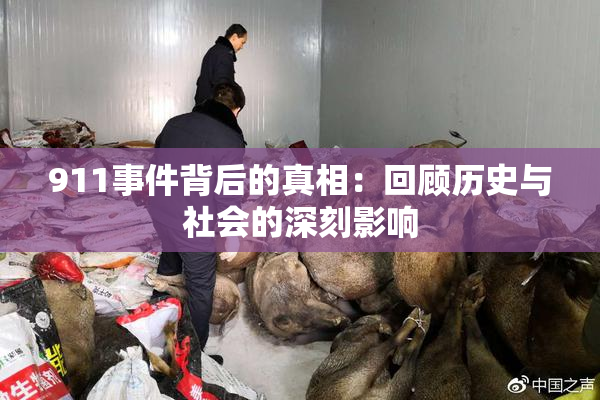 911事件背后的真相：回顾历史与社会的深刻影响
