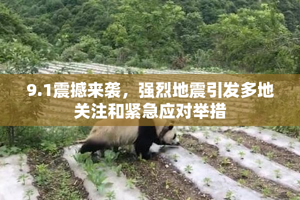 9.1震撼来袭，强烈地震引发多地关注和紧急应对举措