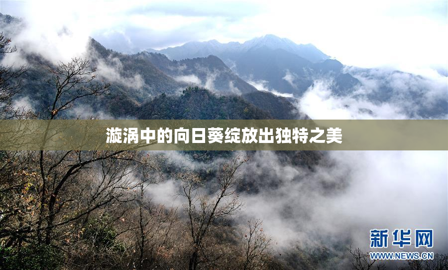 漩涡中的向日葵绽放出独特之美