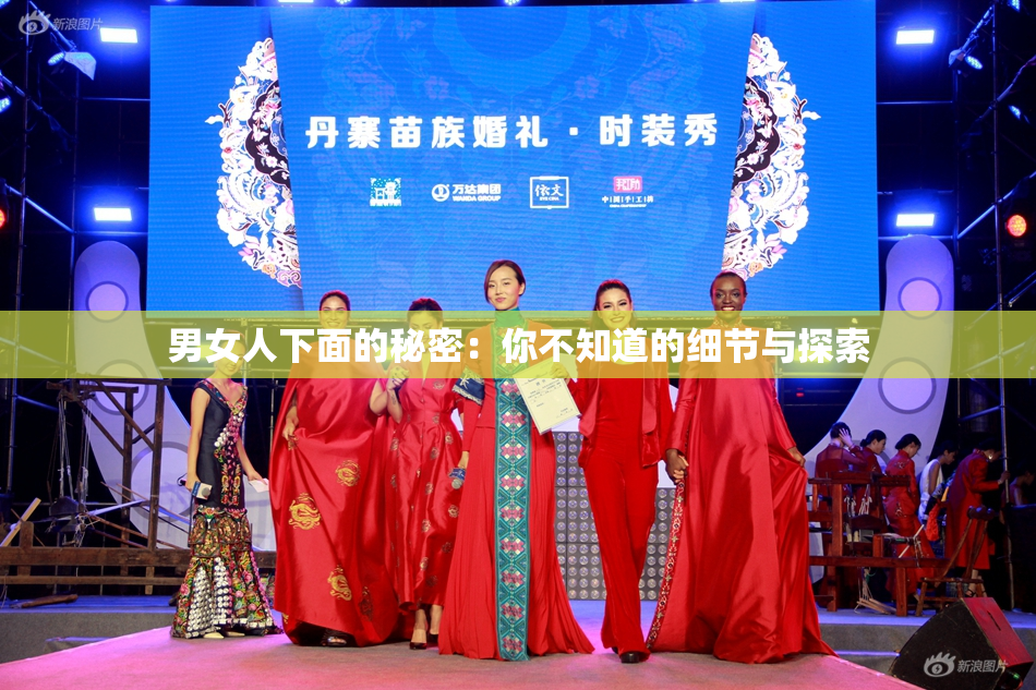 男女人下面的秘密：你不知道的细节与探索