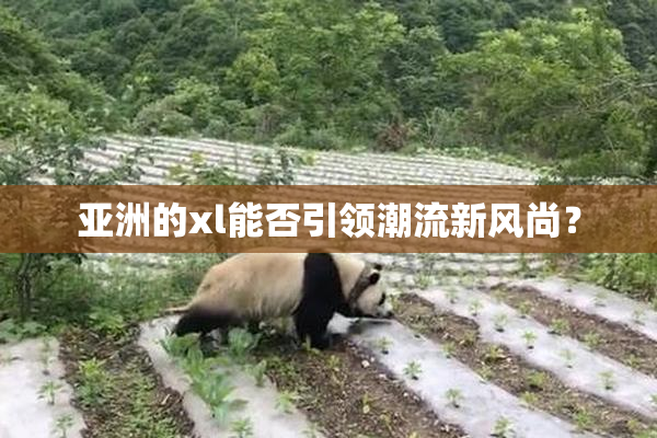 亚洲的xl能否引领潮流新风尚？