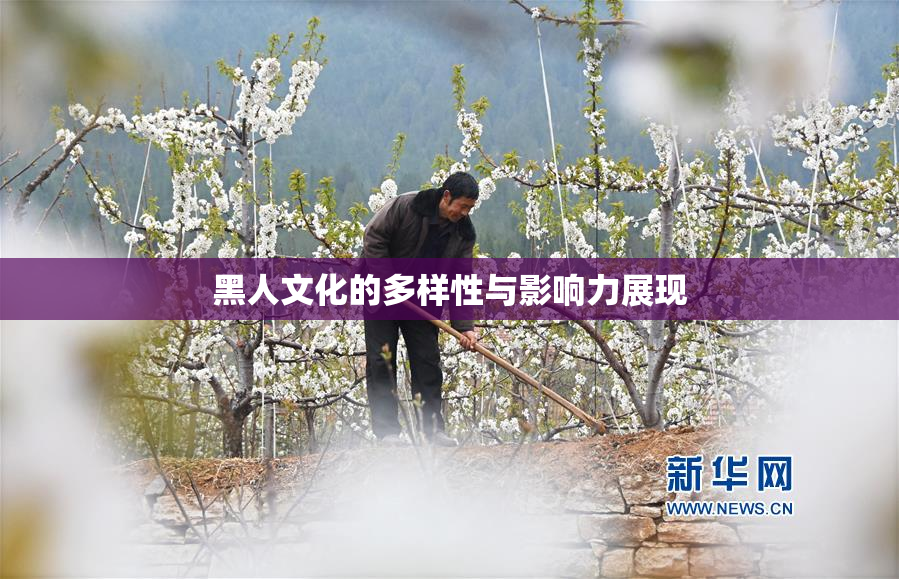 黑人文化的多样性与影响力展现