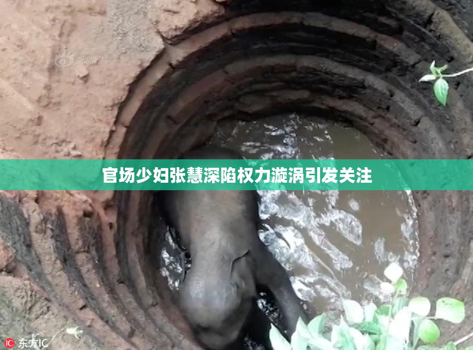 官场少妇张慧深陷权力漩涡引发关注
