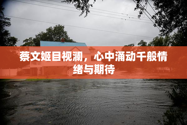 蔡文姬目视澜，心中涌动千般情绪与期待